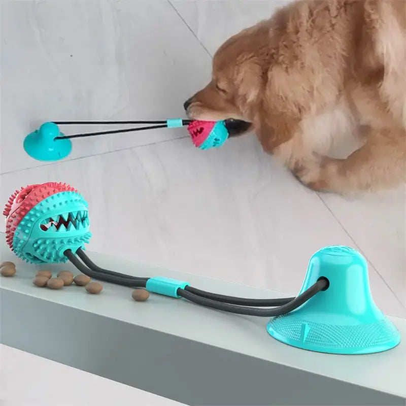 Suction Cup Pets Toys