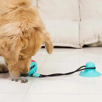 Suction Cup Pets Toys