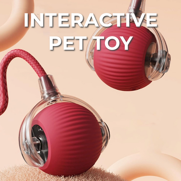 Interactive Toy