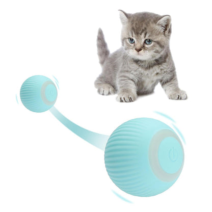 Self-Moving Pet Toy